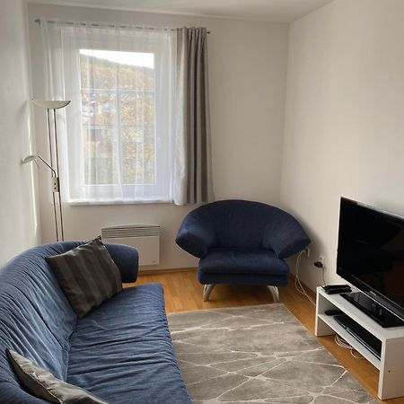 Apartman Radmila Luhačovice Dış mekan fotoğraf